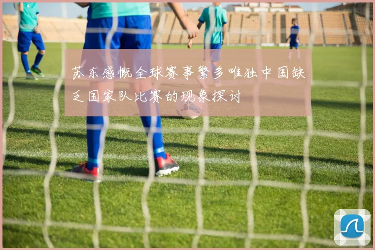 苏东感慨全球赛事繁多唯独中国缺乏国家队比赛的现象探讨