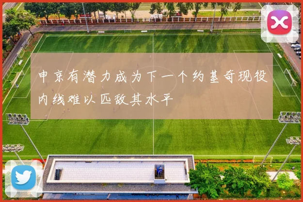 申京有潜力成为下一个约基奇现役内线难以匹敌其水平
