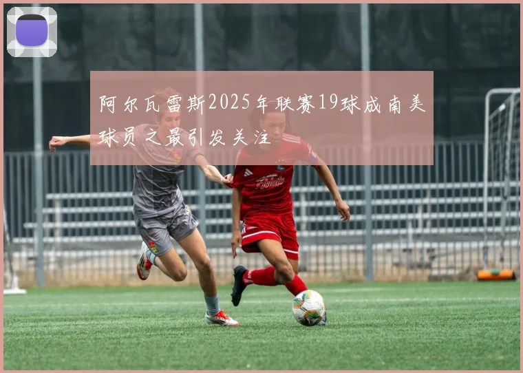 阿尔瓦雷斯2025年联赛19球成南美球员之最引发关注