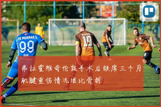 弗拉霍维奇伦敦手术后缺席三个月肌腱重伤情况堪比骨折