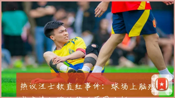 热议汪士钦直红事件：球场上脑残式申请红牌的背后原因分析