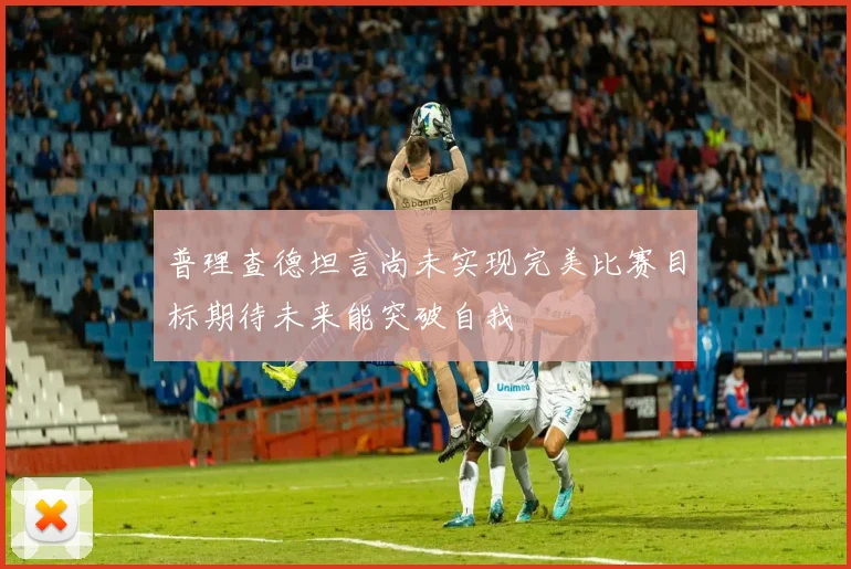普理查德坦言尚未实现完美比赛目标期待未来能突破自我