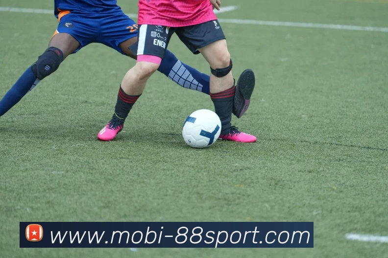 88体育服务体系